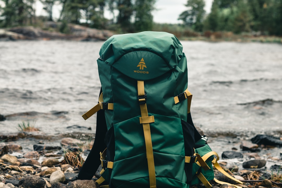 Плита газовая двухконфорочная Campingaz